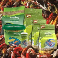 Pond Sticks