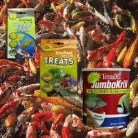 Treats / Supplements