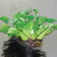Water Hyacinth
