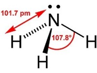 Ammonia in Ponds