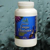 Fungus Eliminator by Jungle Pond
