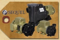 Sequel Pumps by MDM Inc.
