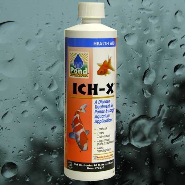 IchX by Hikari Pond Solutions Fish Health
