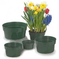 Green Pots