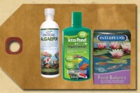 Algae Control