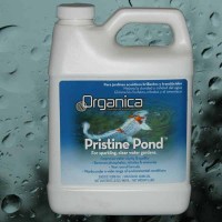 Pristine Pond by Organica