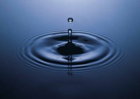 Pond Water Chemistry